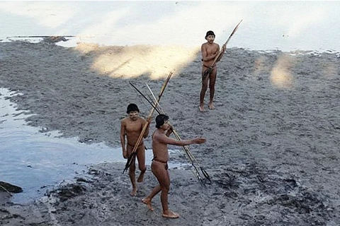 Bị truy đuổi, bộ lạc bí ẩn ở Amazon phải kêu gọi sự trợ giúp 