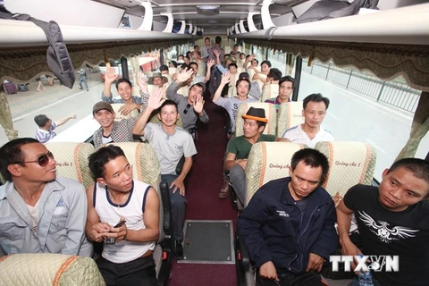 [Video] 33 lao động Việt Nam rời Libya qua Ai Cập bằng đường bộ 