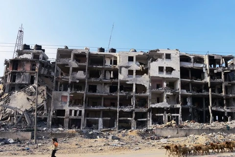 Lệnh ngừng bắn tại Gaza được gia hạn 24 giờ để tiếp tục đàm phán