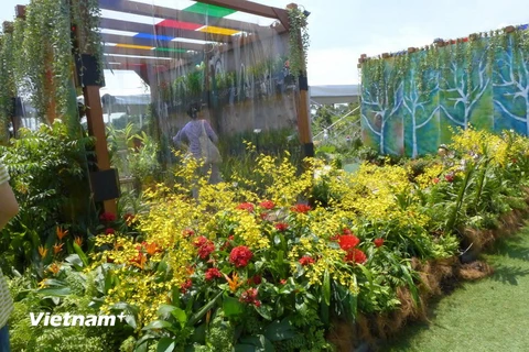 Lễ hội vườn và hoa tại Singapore trưng bày nhiều loại hoa độc đáo