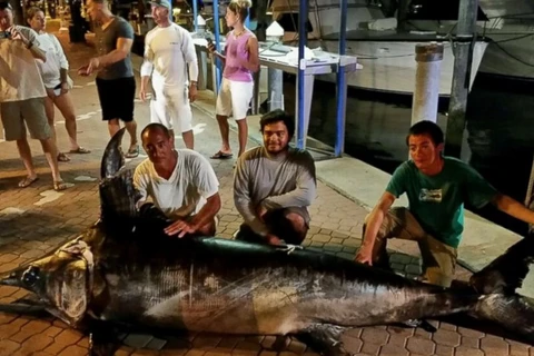 Ba cha con vật lộn với chú cá kiếm khổng lồ nặng hơn 300kg