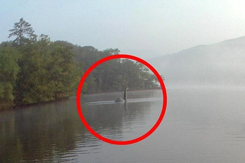Thực hư bức ảnh chụp "quái vật" hồ Loch Ness bơi tới Anh