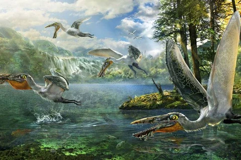 Phát hiện hóa thạch loài "quái vật bay" như trong phim "Avatar"