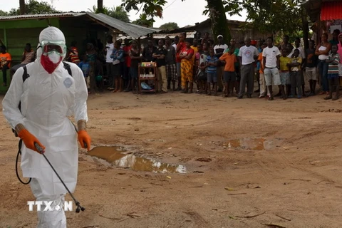 Liên hợp quốc cử chuyên gia tới vùng Tây Phi dập dịch Ebola