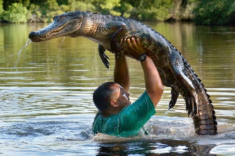 Người đàn ông liều mạng nhấc bổng con cá sấu nặng tới 200kg