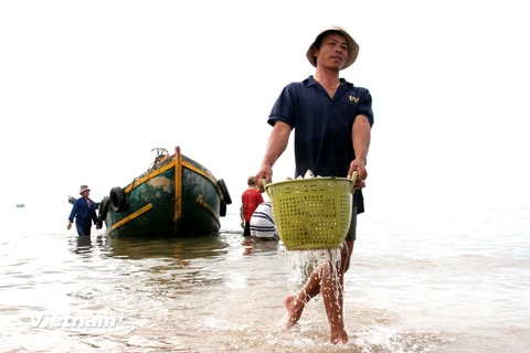 [Photo] Cuộc sống thanh bình của ngư dân làng chài Phước Hải