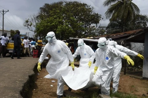 WHO công bố con số giảm các trường hợp tử vong do Ebola 