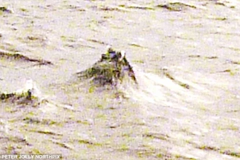 Thực hư bức ảnh đầu quái vật hồ Loch Ness nhô lên khỏi mặt nước