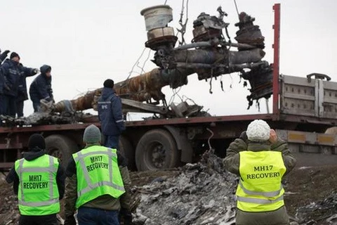 Cuộc điều tra thảm kịch MH17 có thể kéo dài ít nhất một năm
