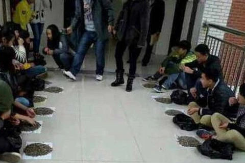 Trung Quốc: Sinh viên ăn vặt bị phạt cắn 50kg hạt hướng dương