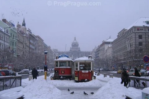 Séc: Hệ thống đường sắt và tàu điện bị tê liệt do băng tuyết 