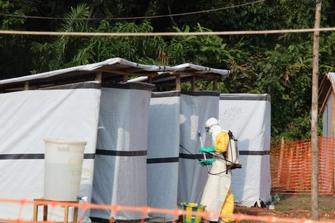 WHO cảnh báo dịch Ebola tiếp tục hoành hành tại Sierra Leone