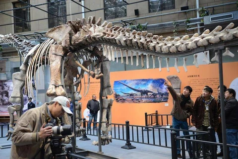 Cận cảnh bộ xương của loài khủng long lớn nhất thế giới