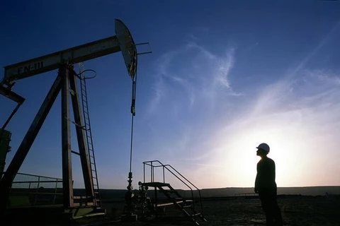 Giá dầu thô tiếp tục đà lao dốc, thị trường chứng khoán bị vạ lây