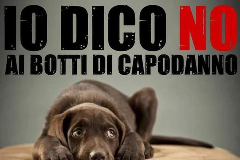 Italy phát động chiến dịch đề nghị cấm đốt pháo để cứu chó, mèo