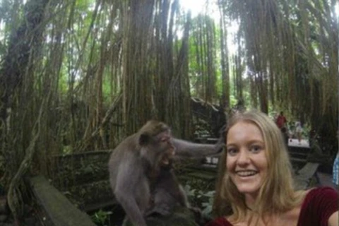 Khỉ dọa khách du lịch hoảng sợ khi chụp ảnh "tự sướng" 