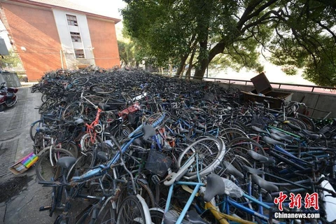 [Photo] Choáng với "nghĩa địa xe đạp" khổng lồ ở Trung Quốc