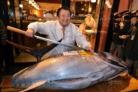 Chủ cửa hàng sushi mua con cá ngừ khổng lồ với giá 37.000USD