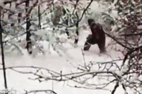 Các nhà khoa học bất ngờ bắt gặp "người tuyết Yeti" tại Nga 