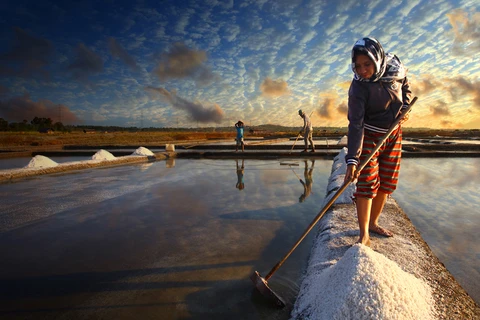 Indonesia công bố kế hoạch tự cung tự cấp muối vào năm 2017 