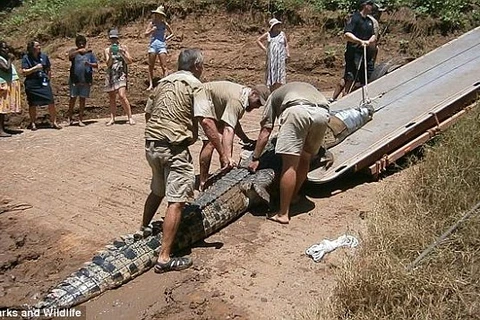 Bắt sống con cá sấu ăn thịt nhiều chú chó và đe dọa trẻ em