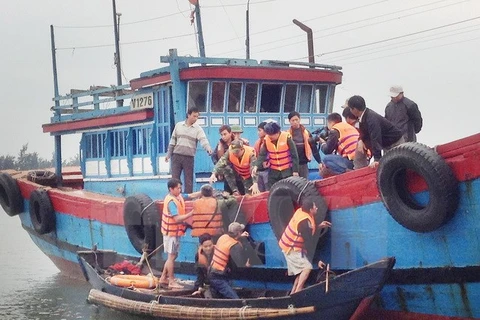Cứu thoát 9 thuyền viên trên tàu hàng mắc cạn ở vịnh Vân Phong