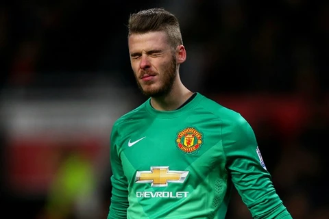 Louis van Gaal khẳng định đã tìm thấy người thay David De Gea