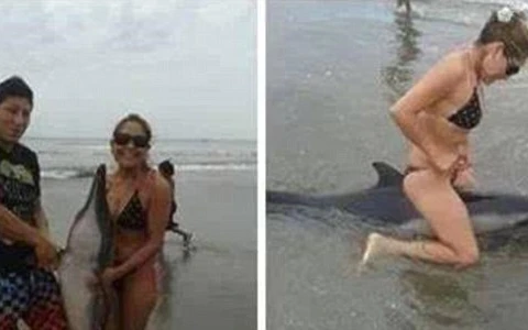 Cặp đôi bị lên án vì hành hạ chú cá heo tội nghiệp ở bãi biển