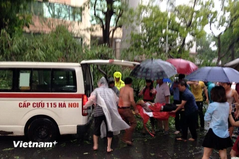 [Photo] Cây đổ la liệt trên đường phố Hà Nội đè lên ôtô, xe máy