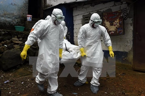 Nhân viên y tế thuộc tổ chức phi Chính phủ Croix Rouge chuyển thi thể nạn nhân Ebola ở Monrovia, Liberia ngày 29/9/2014. (Nguồn: AFP/TTXVN)