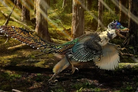 Hình ảnh phục dựng của loài khủng long Zhenyuanlong. (Nguồn: CCTV)