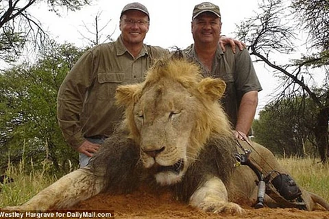 Walter Palmer (trái) đang phải lẩn trốn vì chịu quá nhiều chỉ trích. (Nguồn: Daily Mail)