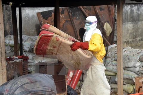 Nhân viên y tế Guinea làm việc tại trung tâm chữa trị Ebola Donka ở thủ đô Conakry ngày 8/12. (Ảnh: AFP/TTXVN)