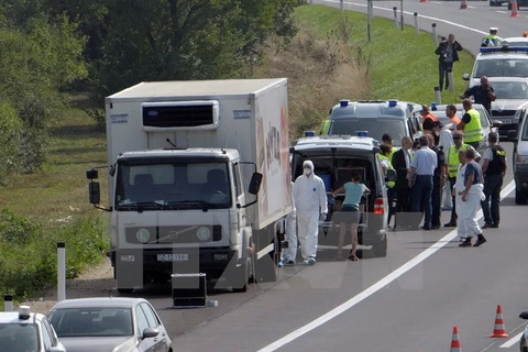 Các điều tra viên tại hiện trường chiếc xe chở người di cư ở khu vực biên giới Áo-Hungary hôm 27/8. (Nguồn: THX/TTXVN)
