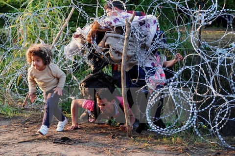 Người di cư vượt qua hàng rào dây thép gai gần Roszke, giáp giới Serbia. (Nguồn: AFP/TTXVN)