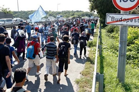 Người tị nạn tuần hành trên đường cao tốc ở Hungary. (Nguồn: rte.ie)