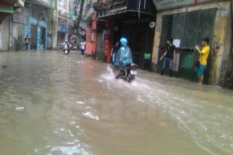Triều Khúc, Thanh Xuân sau một trận mưa. (Ảnh: CTV/Vietnam+)