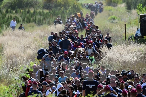 Người di cư tại khu vực biên giới Hungary-Croatia, gần làng Zakany của Hungary ngày 21/9. (Nguồn: AFP/TTXVN)