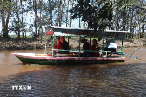 Những du khách đầu tiên tham quan Vườn quốc gia Tràm Chim được trải nghiệm cảm giác lướt trên mặt nước trên tàu năng lượng Mặt ​Trời. (Ảnh: Huỳnh Phúc Hậu/TTXVN)