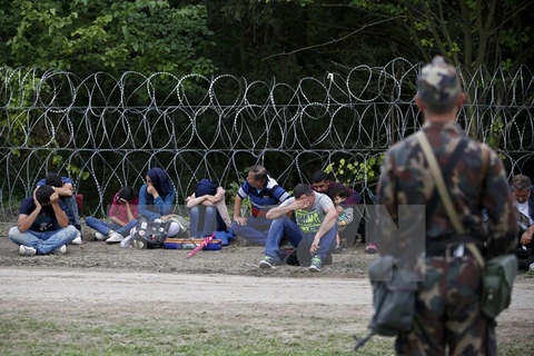 Người di cư bị bắt giữ sau khi vượt qua hàng rào tại biên giới Hungary-Serbia. (Nguồn: Reuters/TTXVN)