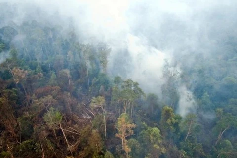 Khói lan ra từ những đám cháy ở Indonesia. (Nguồn: PA)