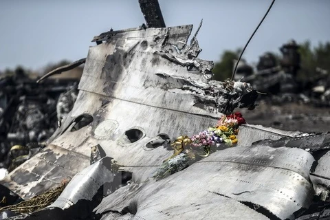 Xác máy bay MH17 gần làng Grabove, vùng Donetsk, miền Đông Ukraine ngày 26/7/2014. (Nguồn: AFP/TTXVN)