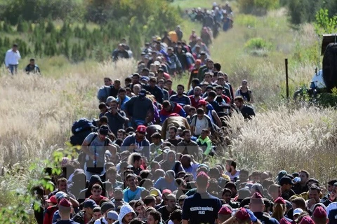 Người di cư tại khu vực biên giới Hungary-Croatia, gần làng Zakany của Hungary ngày 21/9. (Nguồn: AFP/TTXVN)
