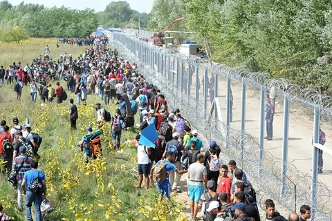 Hàng rào ngăn người nhập cư tại biên giới Hungary-Croatia. (Ảnh: EPA)