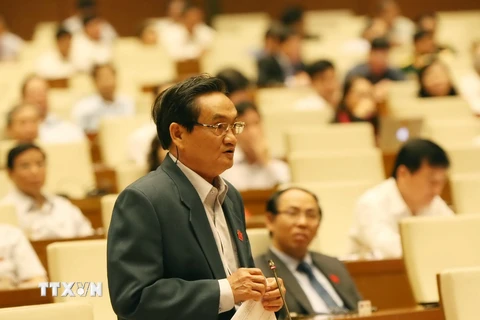 Đại biểu Quốc hội Thành phố Hồ Chí Minh Trần Du Lịch phát biểu ý kiến. (Ảnh: Phương Hoa/TTXVN)