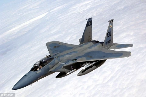 Máy bay chiến đấu F-15 Eagle. (Nguồn: Daily Mail)