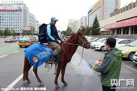 Một nhân viên giao hàng bằng ngựa. (Nguồn: CCTV)
