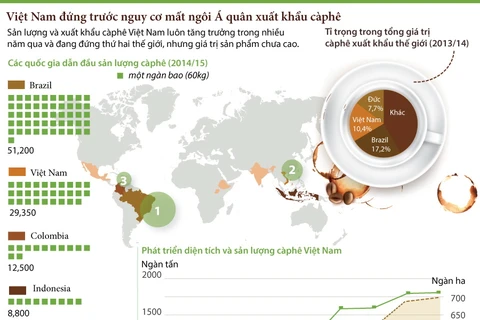 [Infographics] Việt Nam có thể mất ngôi á quân xuất khẩu càphê