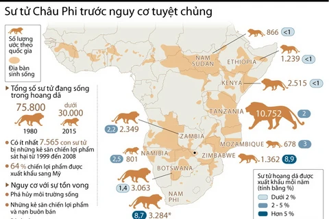 [Infographics] Tốc độ giảm đáng báo động của sư tử châu Phi