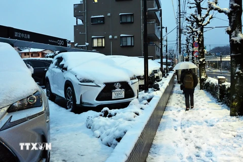 Tuyết phủ trắng đường phố tại thủ đô Tokyo, Nhật Bản. (Nguồn: AFP/TTXVN)